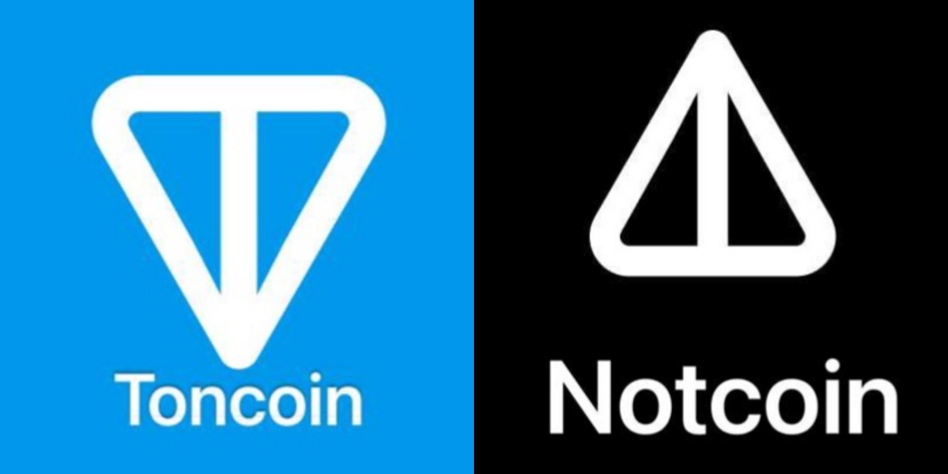 notcoin / نات کوین